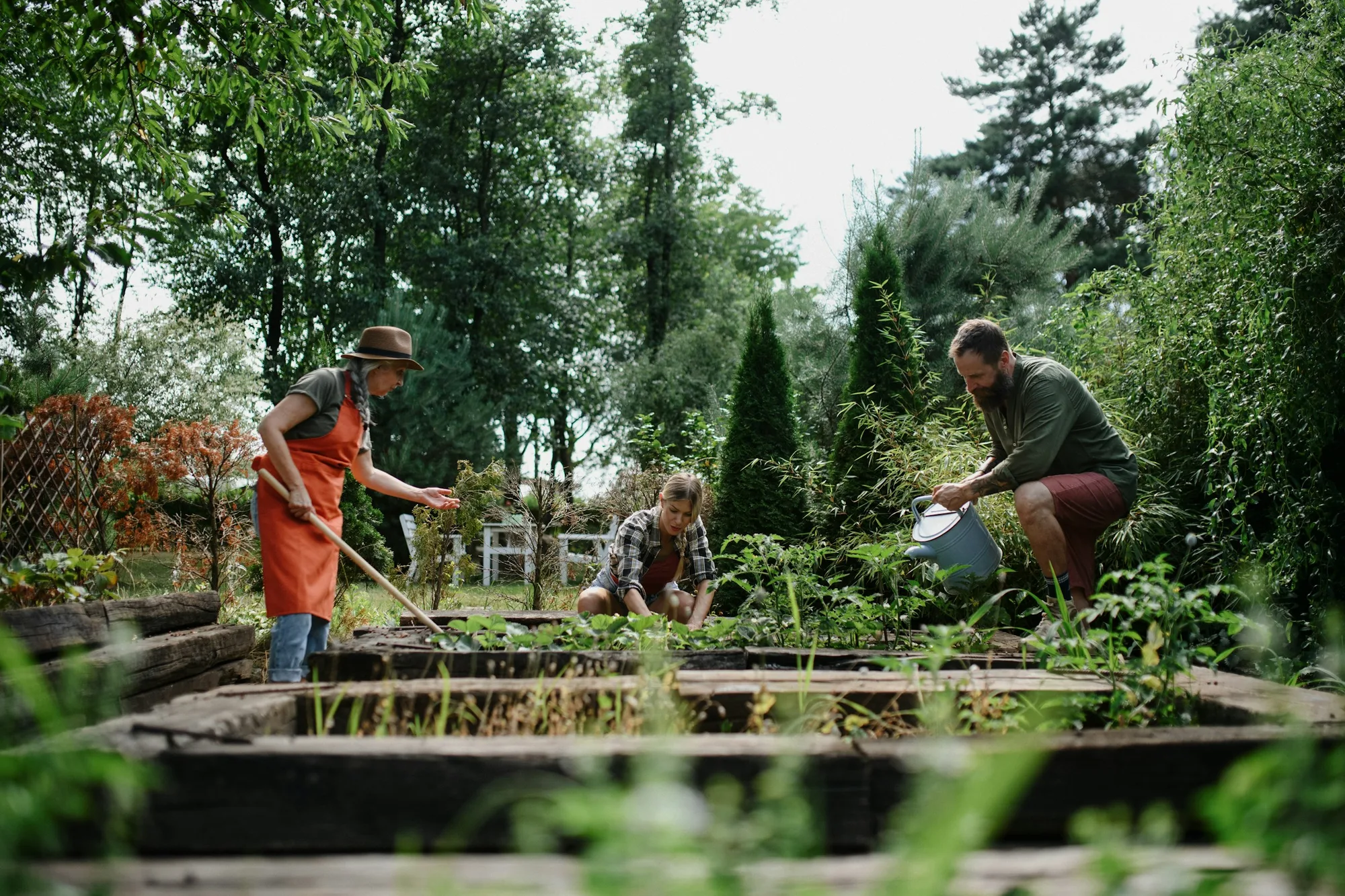 Three neighbours tending raised beds in a community garden